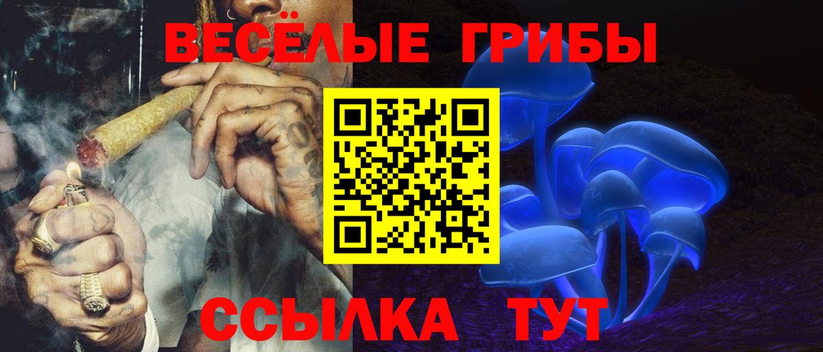 закладка  Галлюциногенные грибы прущие грибы  Вход с VPN  Благодарный  Псилоцибиновые грибы Cubensis 