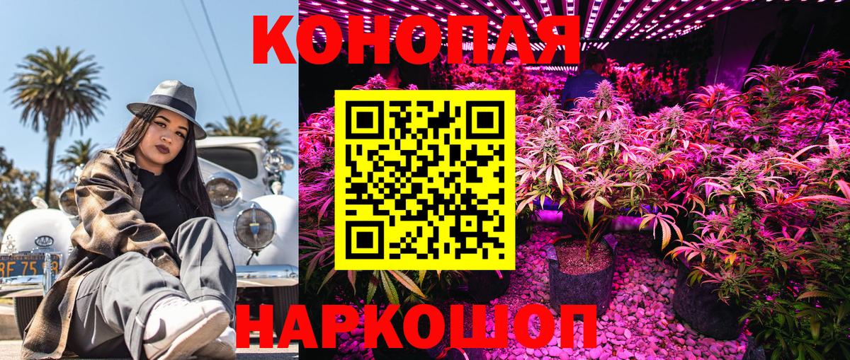Шишки марихуана марихуана Благодарный